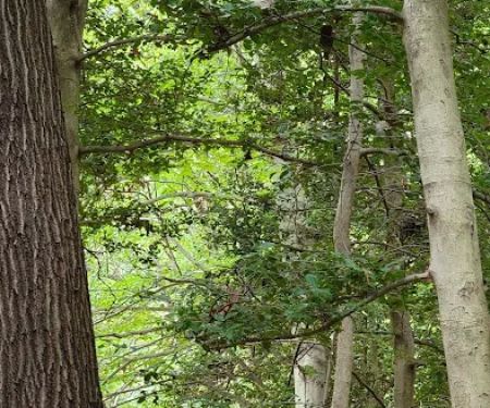 Pohick Bay Campground and Park Office