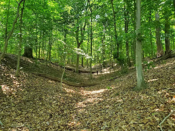 Pohick Bay Campground and Park Office Picture 9