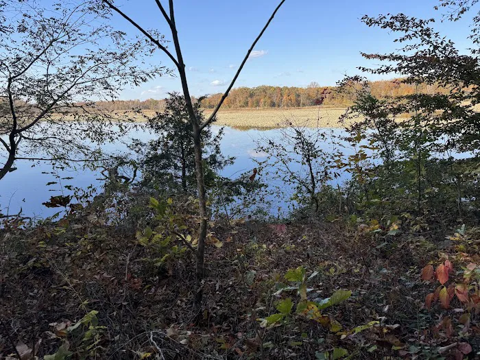 Camp Wilson Picture 9