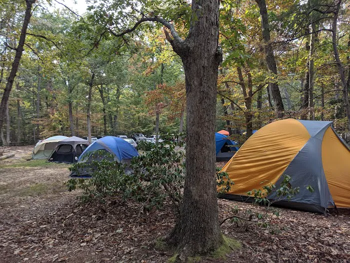 Camp Wilson Picture 8