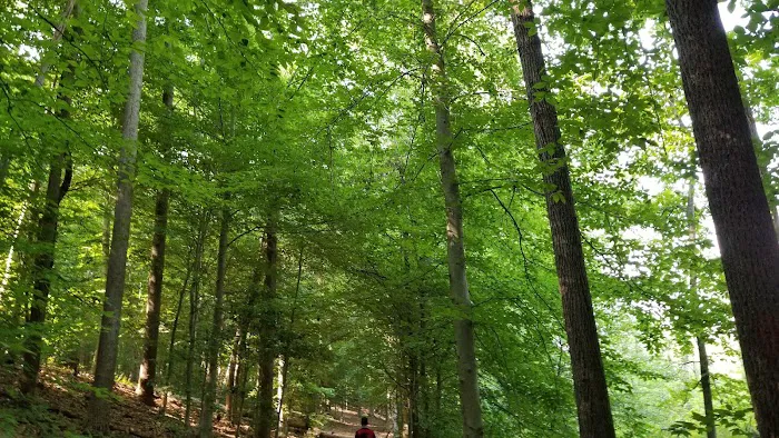 Camp Wilson Picture 1