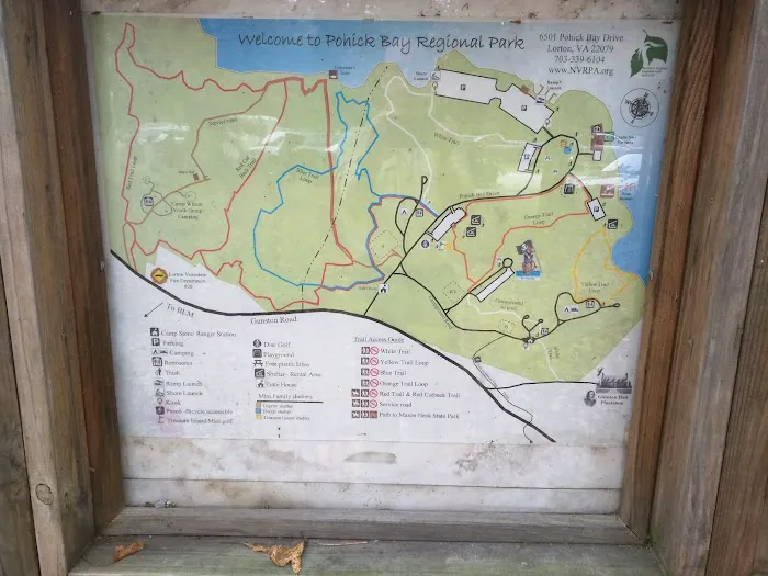 Camp Wilson Picture 6