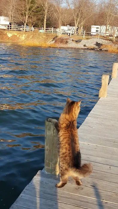 Patuxent Camp Sites Picture 2