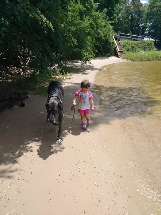 Patuxent Camp Sites Picture 8