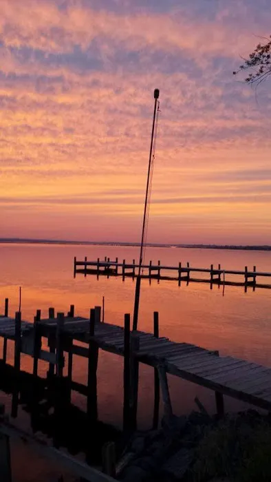 Patuxent Camp Sites Picture 1