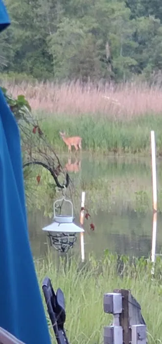 Port Tobacco RV Resort Picture 5