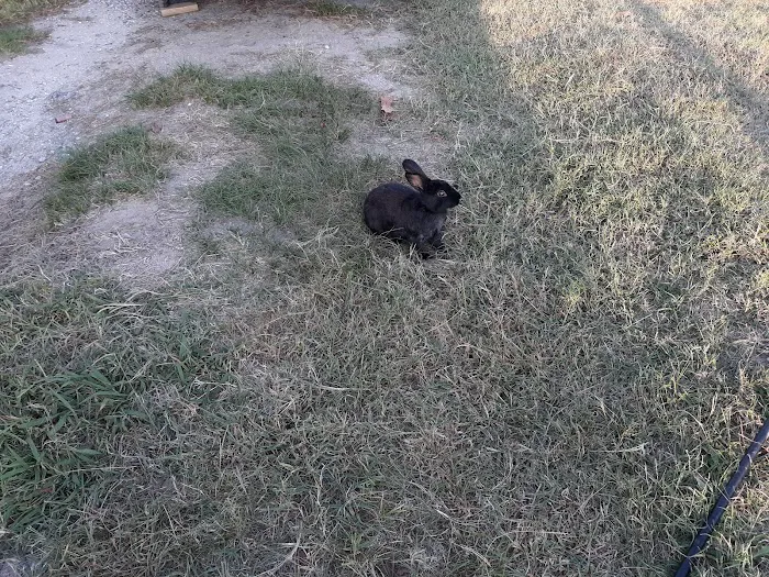 Taylors Island Family Campgrounds Picture 5