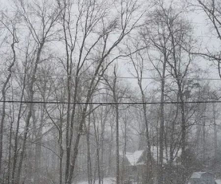 Chesapeake Ranch Estates Campgrounds