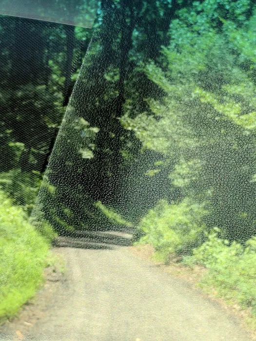 Chesapeake Ranch Estates Campgrounds Picture 5