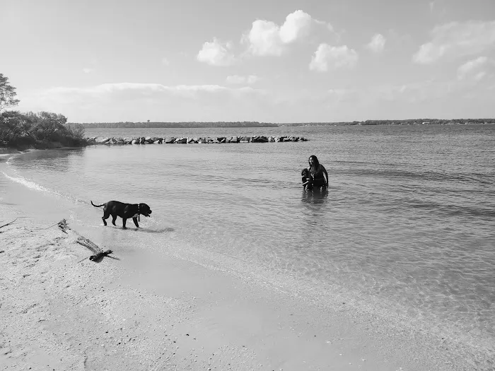 Campsites Picture 10