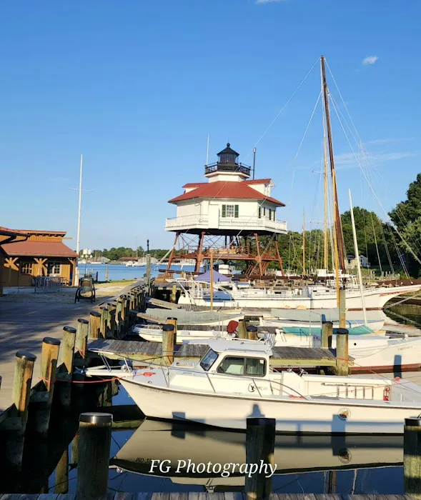 Solomon Islands Camp Ground E Picture 6