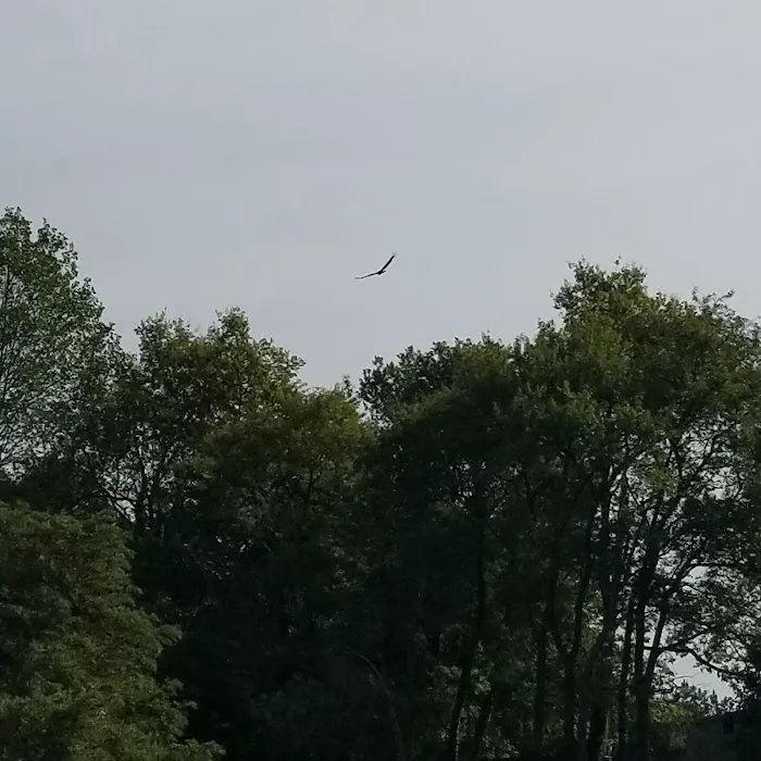 Solomon Islands Camp Ground E Picture 2