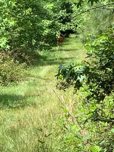 La Grande RV Park Rentals Picture 6