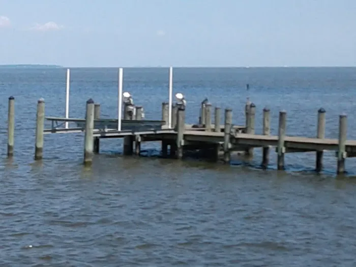 Aqualand Marina and Campground Picture 1