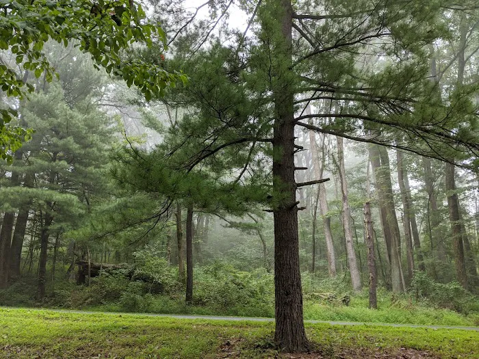 Rock Run Campground Picture 1