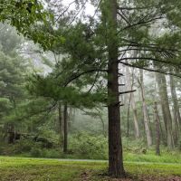 Rock Run Campground ico