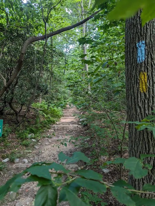 Manor Area - Cunningham Falls State Park Picture 8