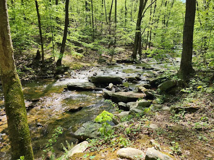 Manor Area - Cunningham Falls State Park Picture 3