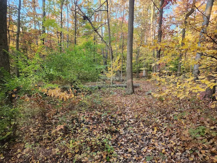 Manor Area - Cunningham Falls State Park Picture 1