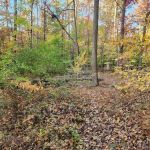 Manor Area - Cunningham Falls State Park