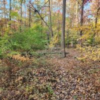 Manor Area - Cunningham Falls State Park ico