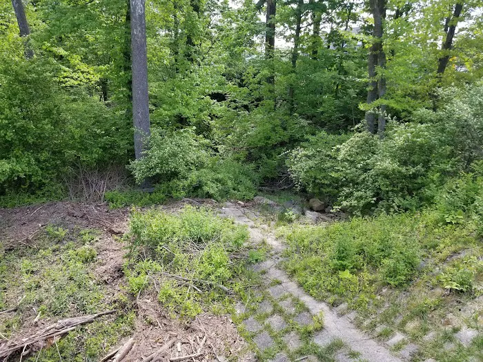 Crow's Nest Family Campground Picture 10