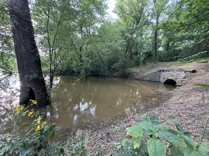Indian Flats Hiker Biker Campsite Picture 7
