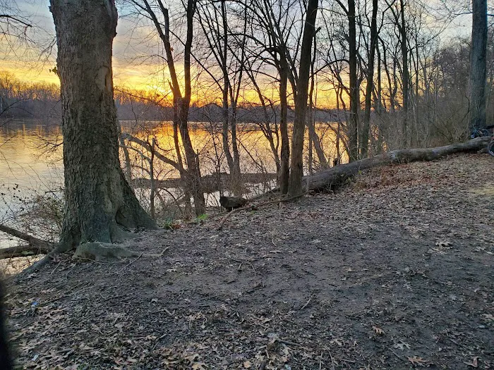 Horsepen Branch Hiker Biker Campsite Picture 9