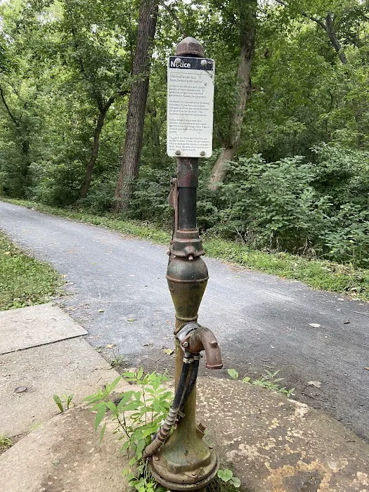 Horsepen Branch Hiker Biker Campsite Picture 4