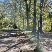 Horsepen Branch Hiker Biker Campsite ico