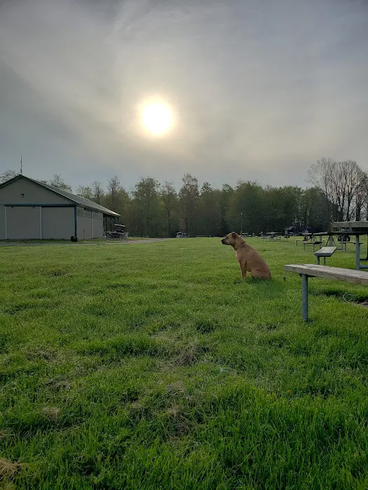 Adventure Bound Camping Resorts - Southwoods Picture 2