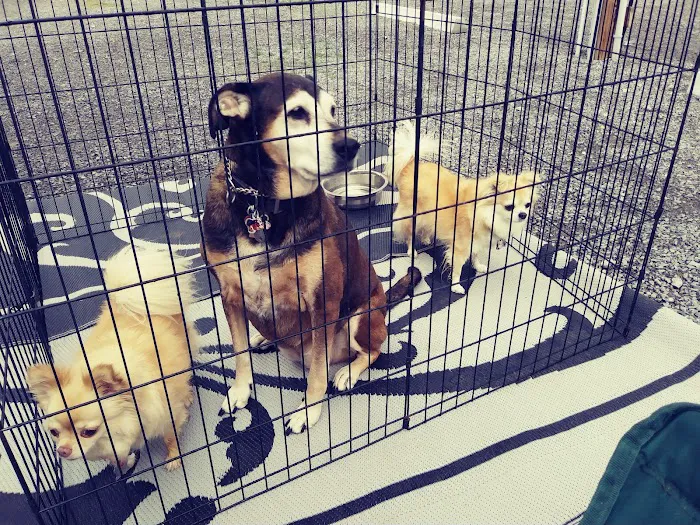 Lei-Ti Recreation Resort Picture 4