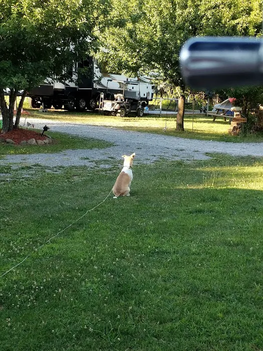 Lei-Ti Recreation Resort Picture 8