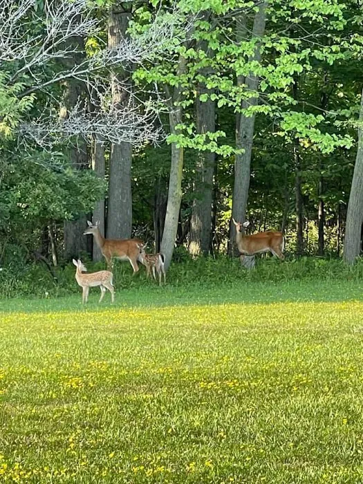 Lei-Ti Recreation Resort Picture 9