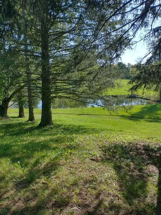 Big Guys Campground Picture 1