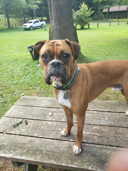 Camp Kaelber Mohan Run Picture 2