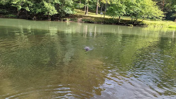 Camp Kaelber Mohan Run Picture 1