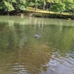 Camp Kaelber Mohan Run