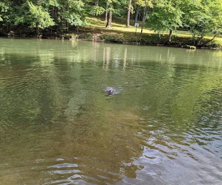 Camp Kaelber Mohan Run
