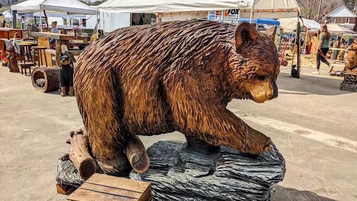 Ridgway Mills Campsites Picture 1