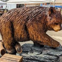 Ridgway Mills Campsites ico