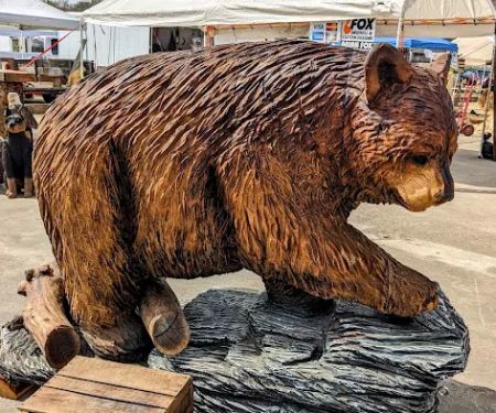 Ridgway Mills Campsites