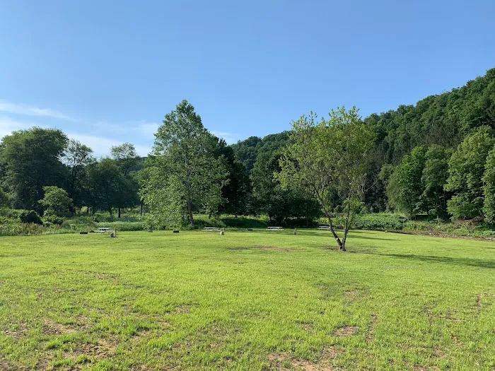 Ridgway Mills Campsites Picture 7