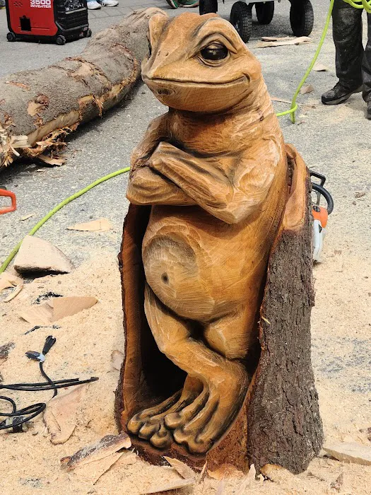 Ridgway Mills Campsites Picture 4