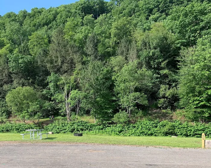 Ridgway Mills Campsites Picture 8