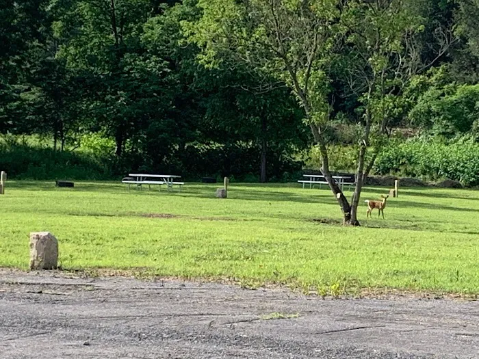 Ridgway Mills Campsites Picture 10