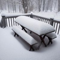 Allegheny Site Management ico