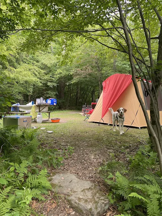 Red Bridge Campground Picture 5