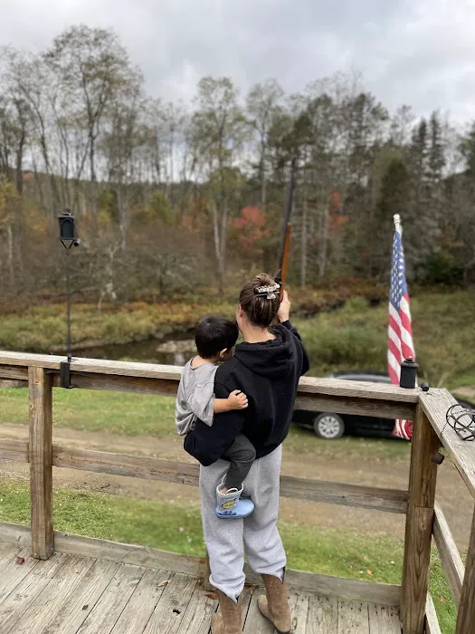 Buzard camp Picture 3