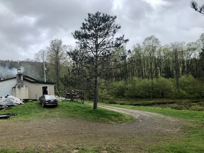 Buzard camp Picture 6